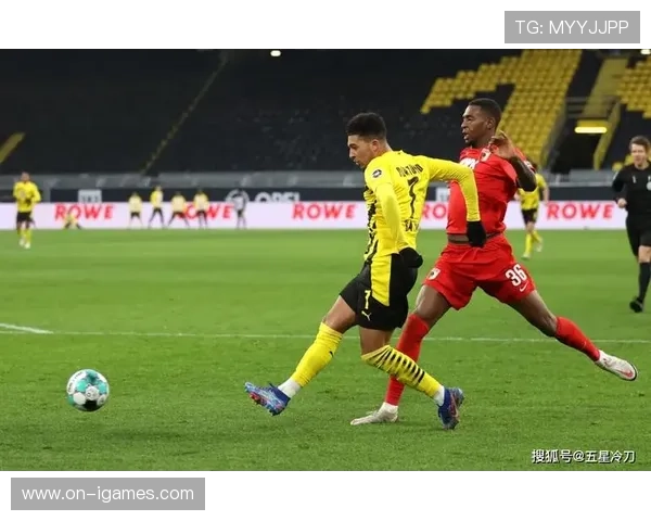 德甲反歧视倡议获支持，俱乐部联合发布多元包容报告